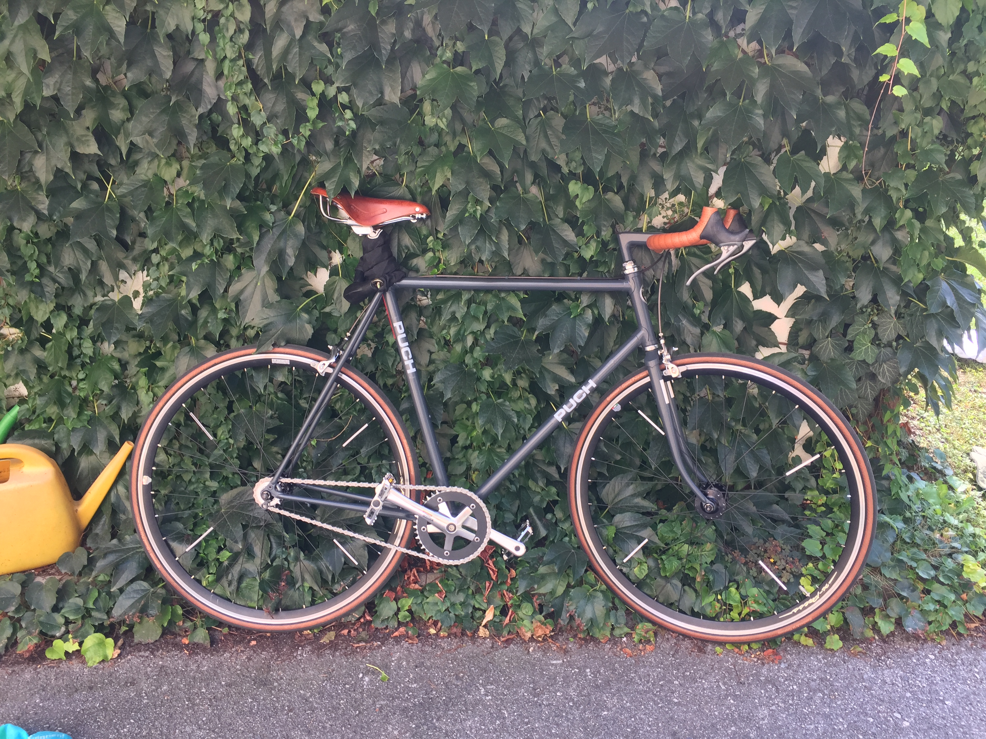 Puch Mistral Singlespeed Restoration
